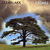 Clearlake